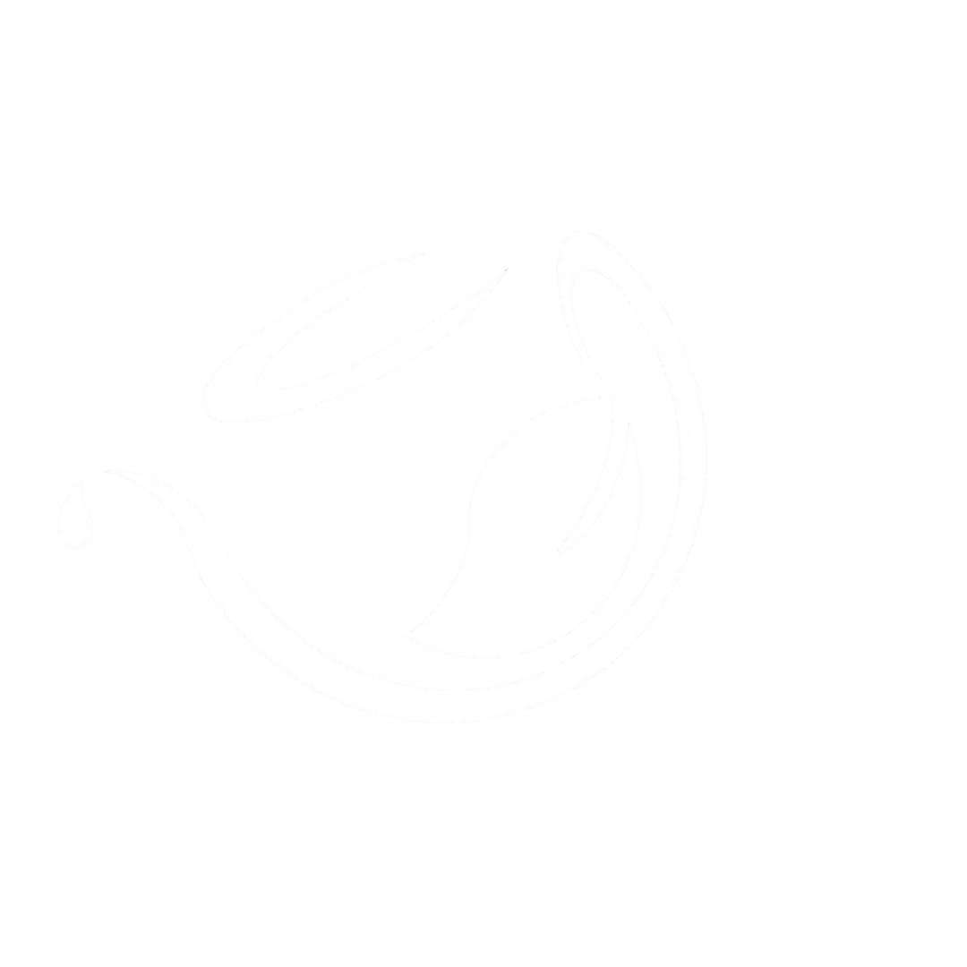 不葉城茶葉．優選茶葉 | 葉城有限公司